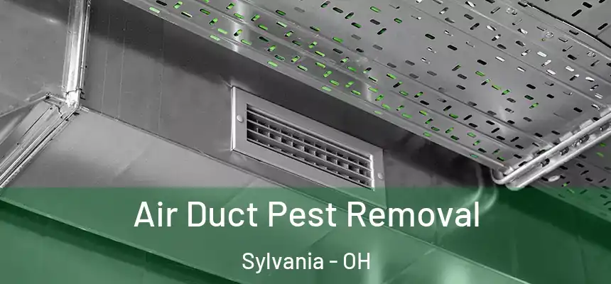 Air Duct Pest Removal Sylvania - OH