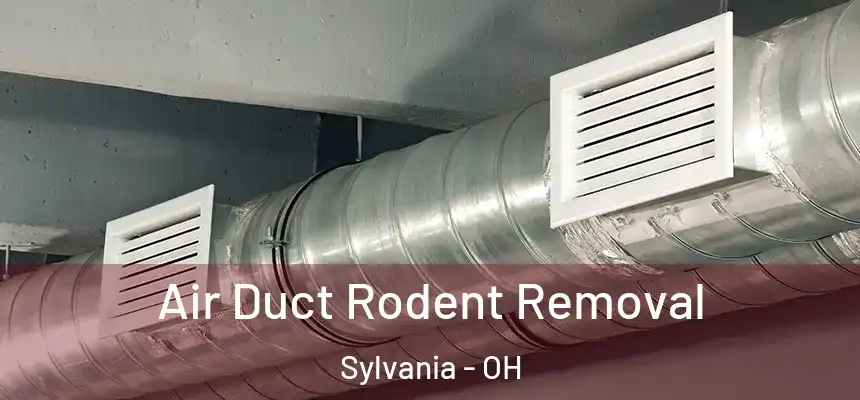 Air Duct Rodent Removal Sylvania - OH
