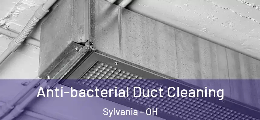 Anti-bacterial Duct Cleaning Sylvania - OH