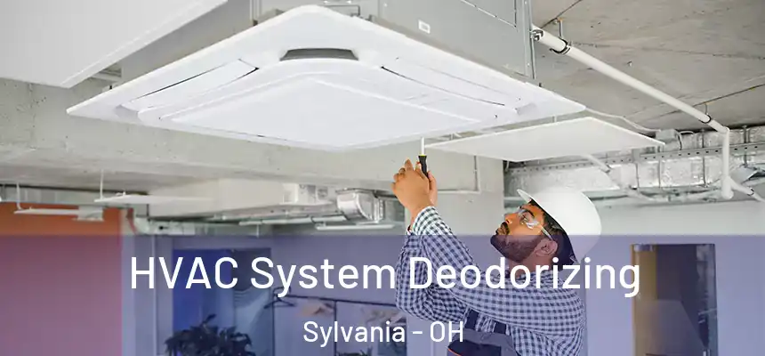  HVAC System Deodorizing Sylvania - OH