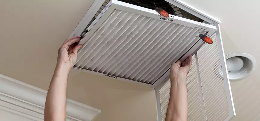 Preventive Cockroach-Proofing for Ducts in Sylvania