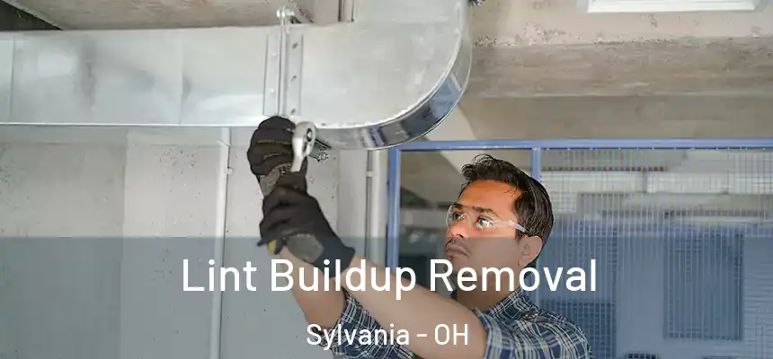  Lint Buildup Removal Sylvania - OH