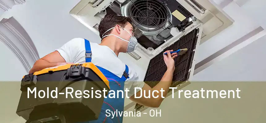 Mold-Resistant Duct Treatment Sylvania - OH