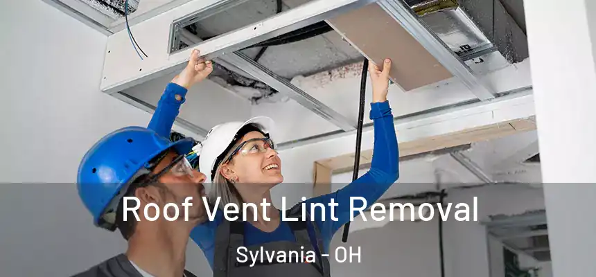 Roof Vent Lint Removal Sylvania - OH