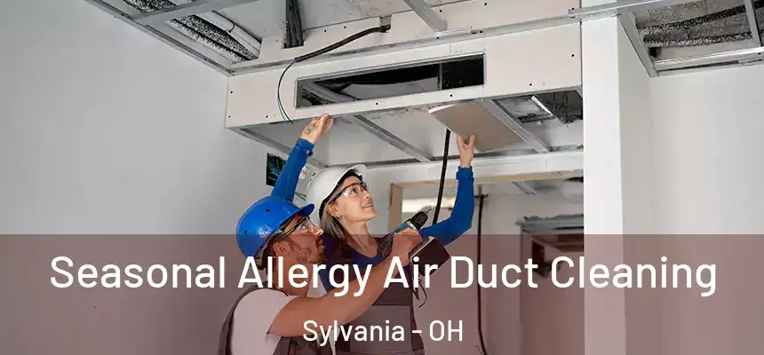 Seasonal Allergy Air Duct Cleaning Sylvania - OH
