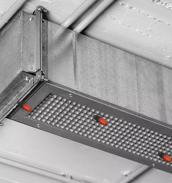 About Air Duct Cockroach Removal in Sylvania, OH