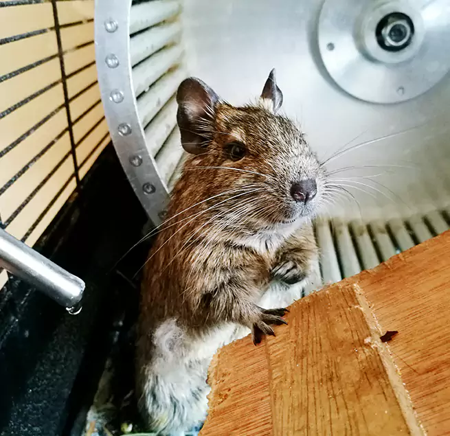 Why Homeowners & Businesses Trust Us Sylvania, OH